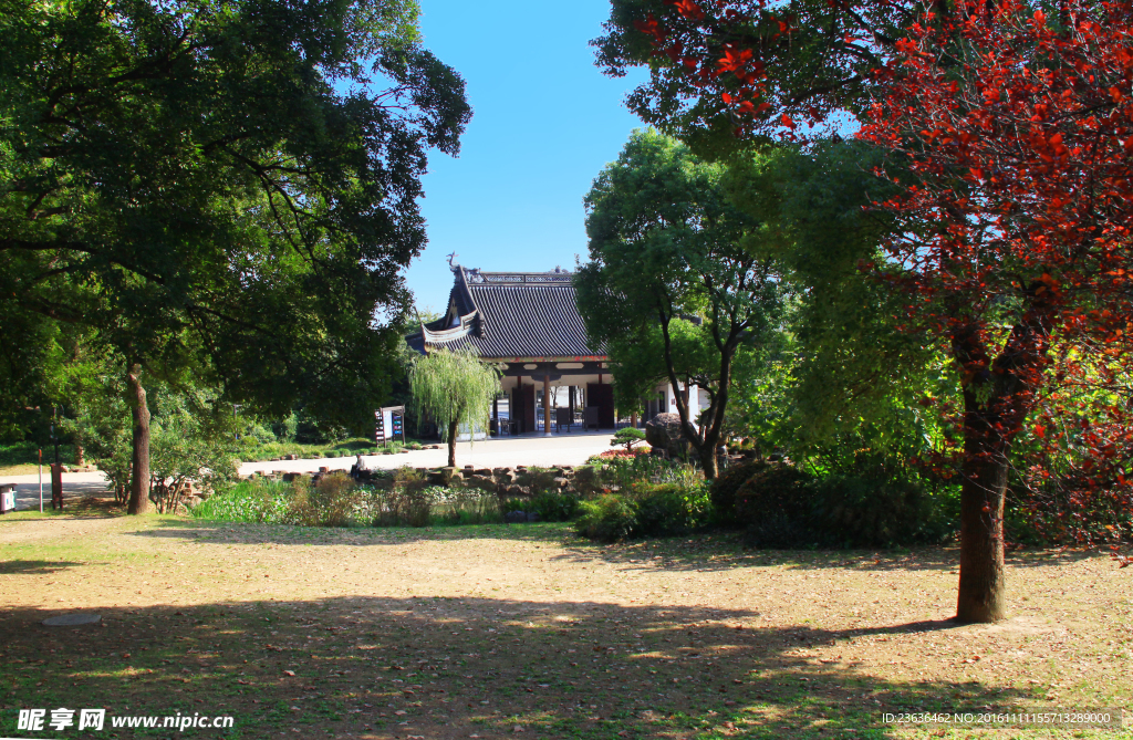 钖惠公园秋摄