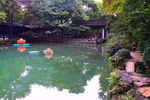 寄畅园 秋景