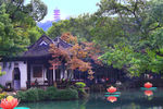 寄畅园 秋景