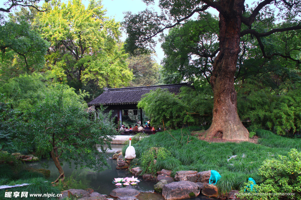 寄畅园 秋景