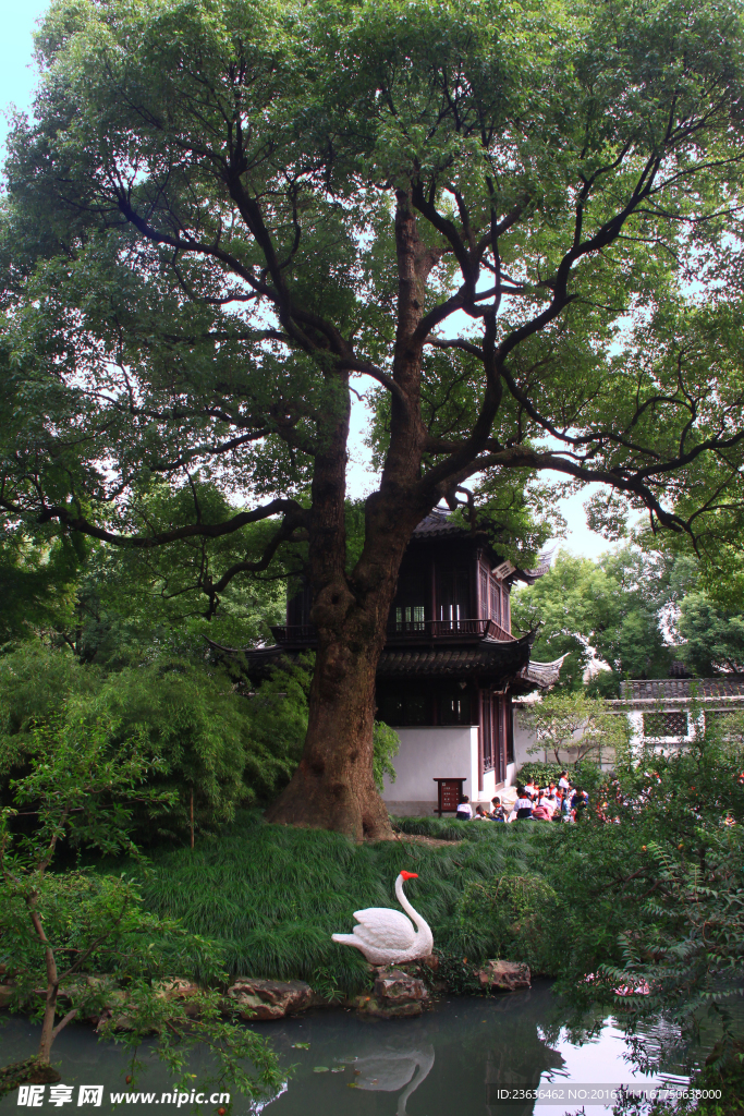 寄畅园 秋景