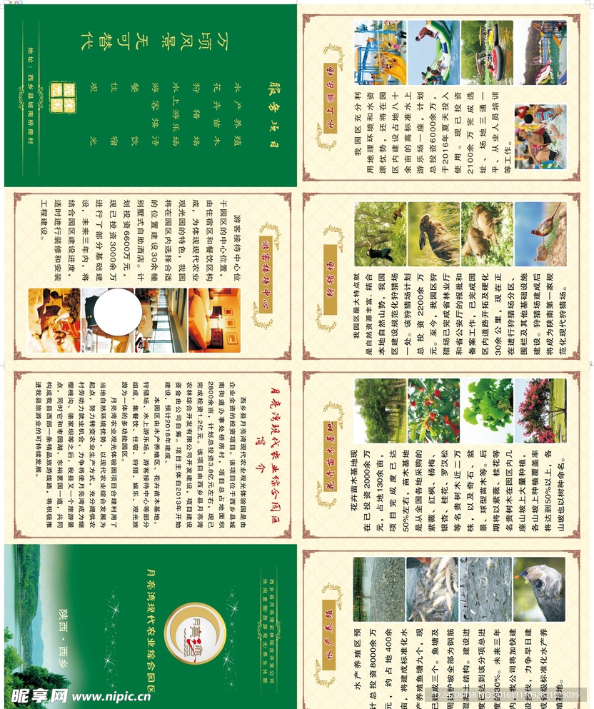 四折页彩页