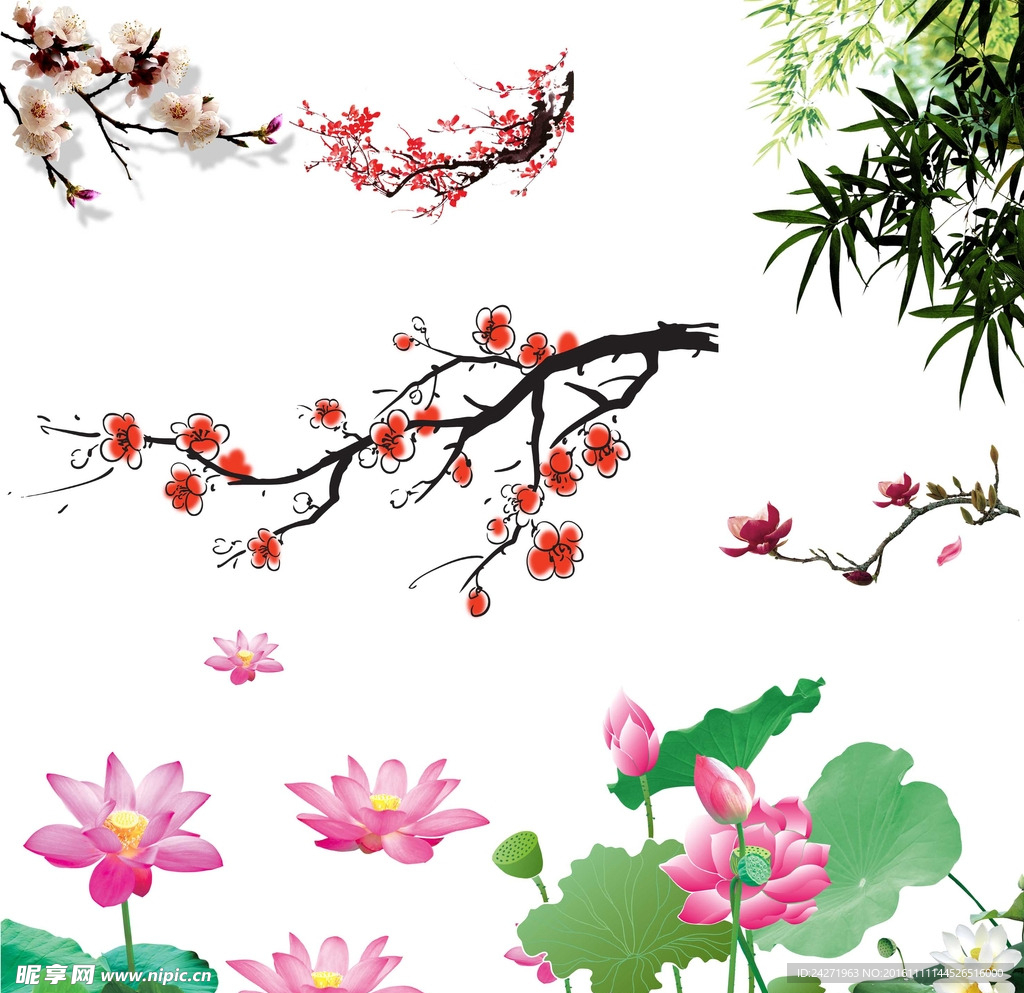 荷花 梅花 竹子