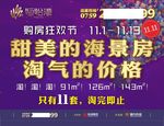 购房狂欢节