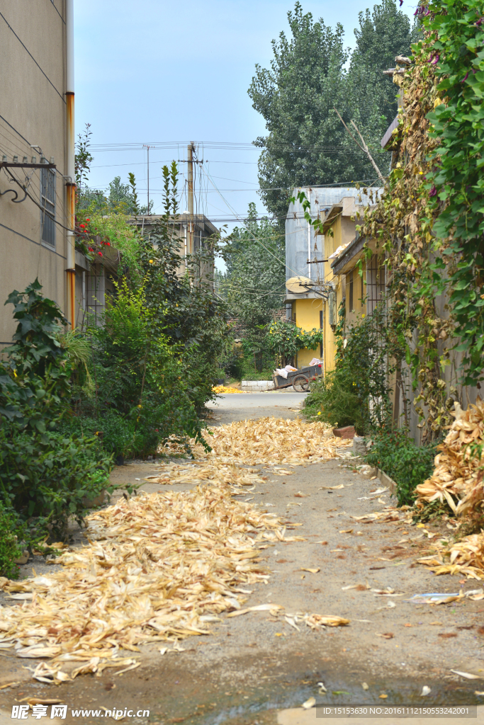 乡村街道  农材街道