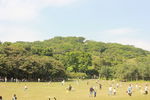 莲花山公园