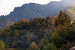 山林