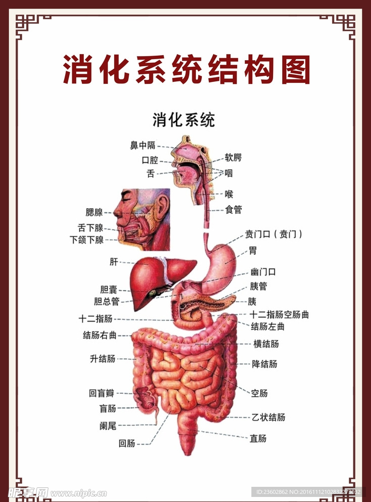 医院文化 医院展板 医院挂图