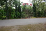 花木基地