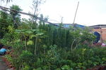 花木基地