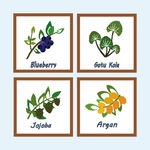 矢量植物图标