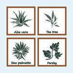矢量植物图标