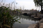 小桥流水