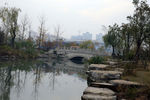 美丽河岸