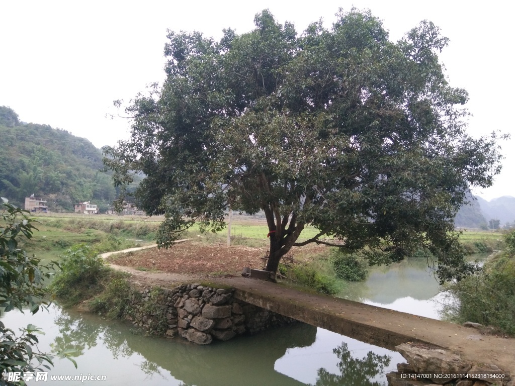 风雨桥