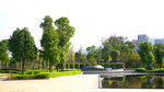 公园风景
