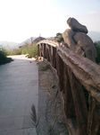 山路