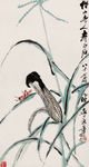 中国水墨画 齐白石国画 写意画