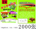 正宗贵州黄牛肉馆宣传单设计下载