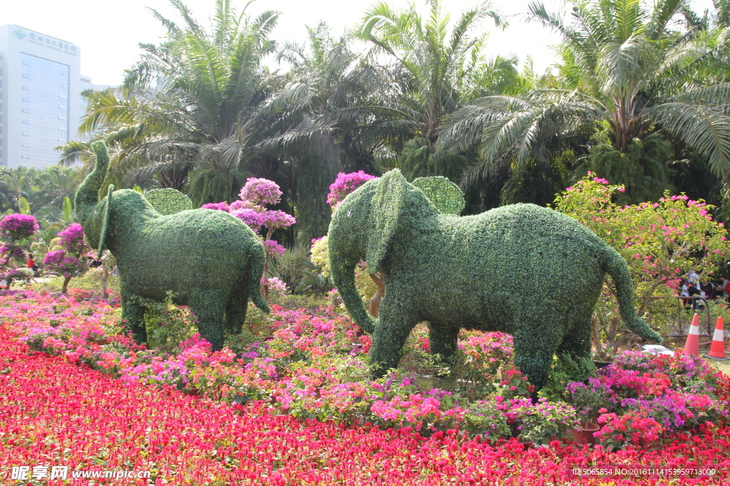 植物大象