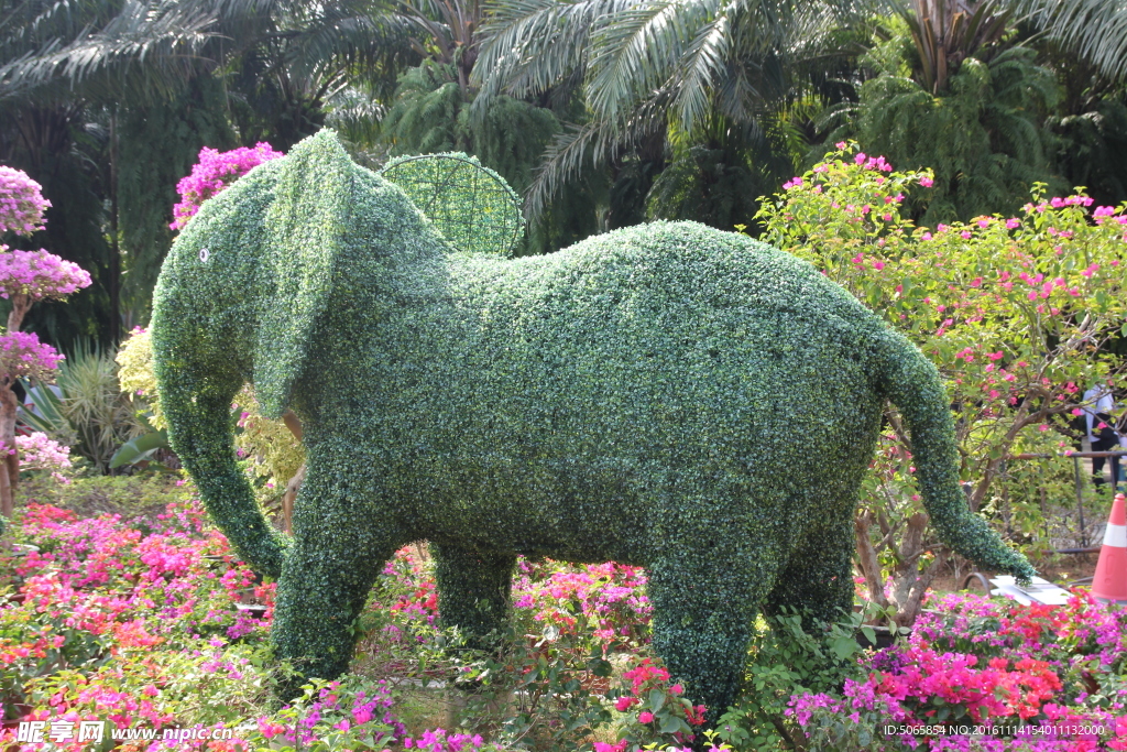 植物大象