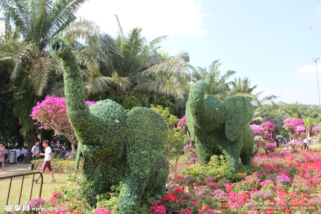 植物大象