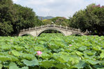 深圳洪湖公园