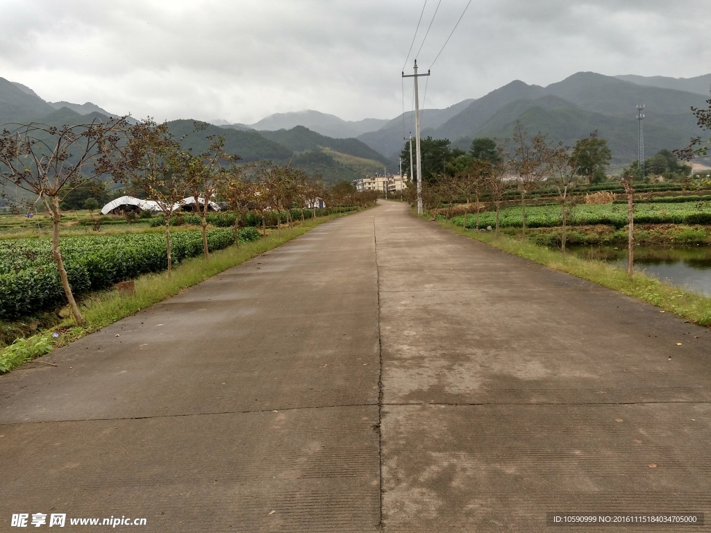 路边风景