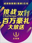 双11 吊旗
