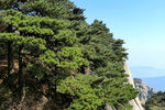 天柱山