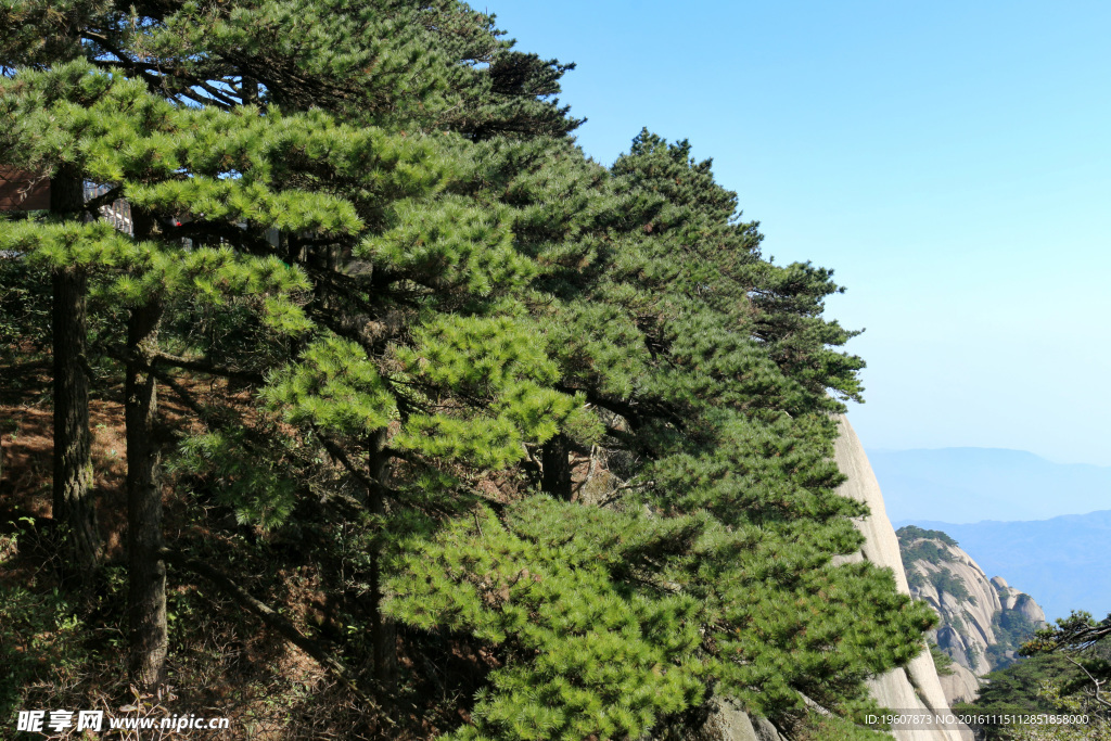 天柱山