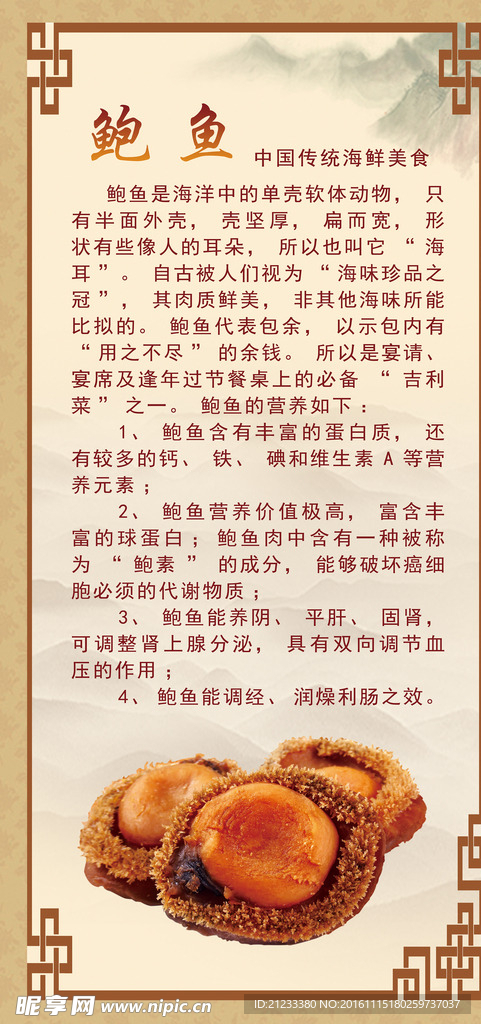 鲍鱼海报 鲍鱼功效与作用
