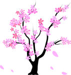 落花树