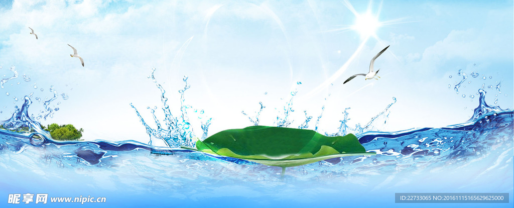 荷叶背景banner