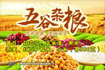 五谷杂粮