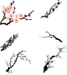 梅花枝