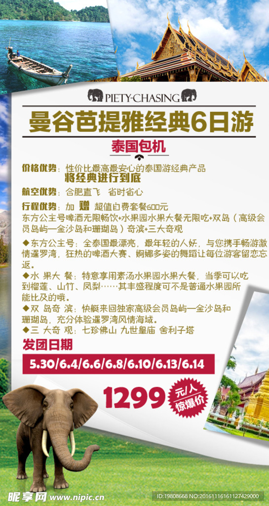 泰国 旅游 海报 单页 广告