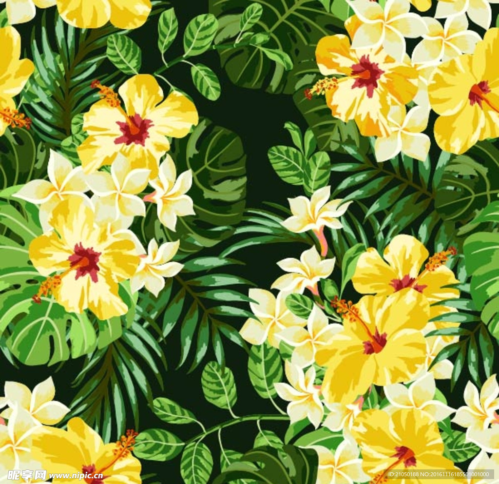 热带花朵
