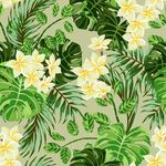 热带花朵