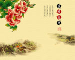 富贵花开