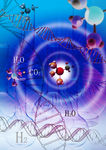 PSD素材 DNA   分子