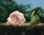 花卉静物油画 水果油画 装饰画