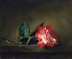 花卉静物油画 水果油画 装饰画