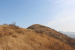 苍茫山头