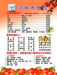沙棘养生馆