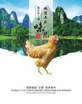 家禽