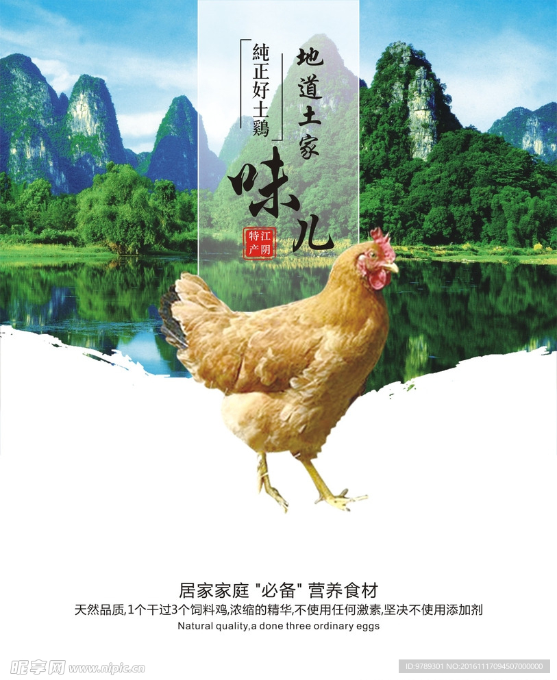 家禽