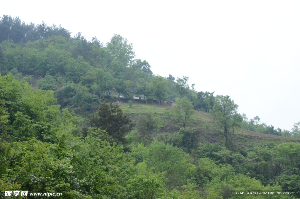 大山