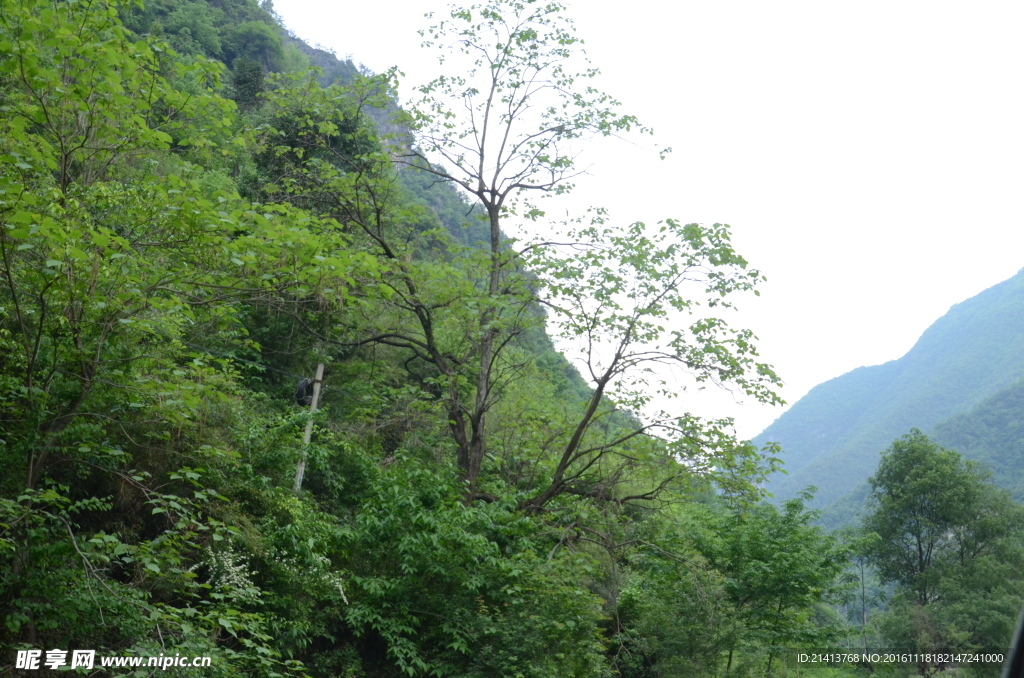 大山