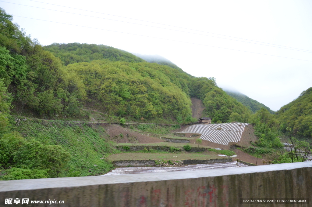 大山